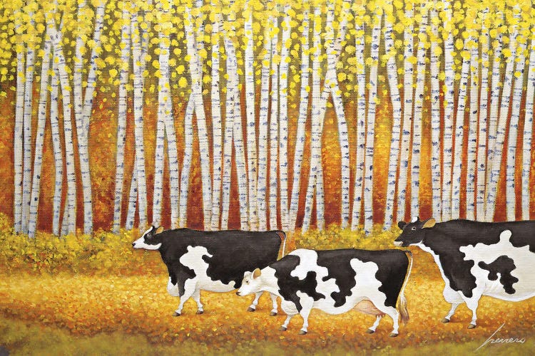 Autumn Cows Birch Trees