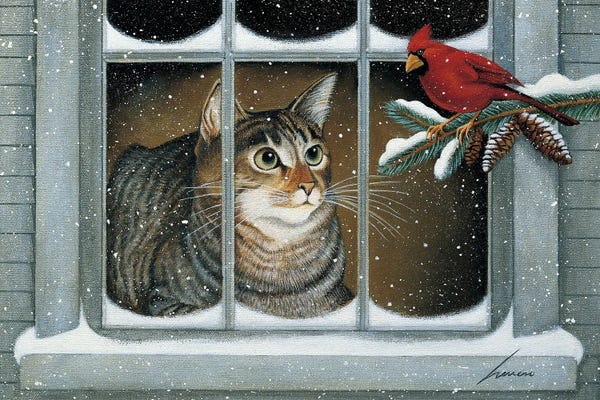 Tabbies: Miranda Kelley by Lowell Herrero