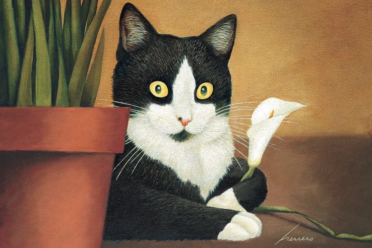 Molly Granovsky Lily by Lowell Herrero wall art