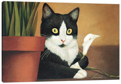 Molly Granovsky Lily Canvas Art Print - Tuxedo Cat Art