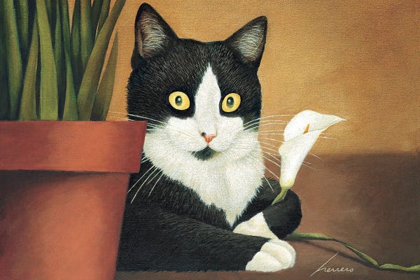 Tuxedo Cats: Molly Granovsky Lily by Lowell Herrero