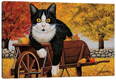 Molly Granovsky Wheelbarrow Canvas Art Print - Tuxedo Cat Art