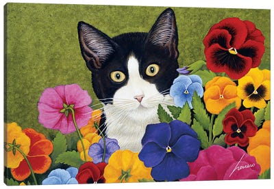 Newman Piggy Amundson Canvas Art Print - Tuxedo Cat Art