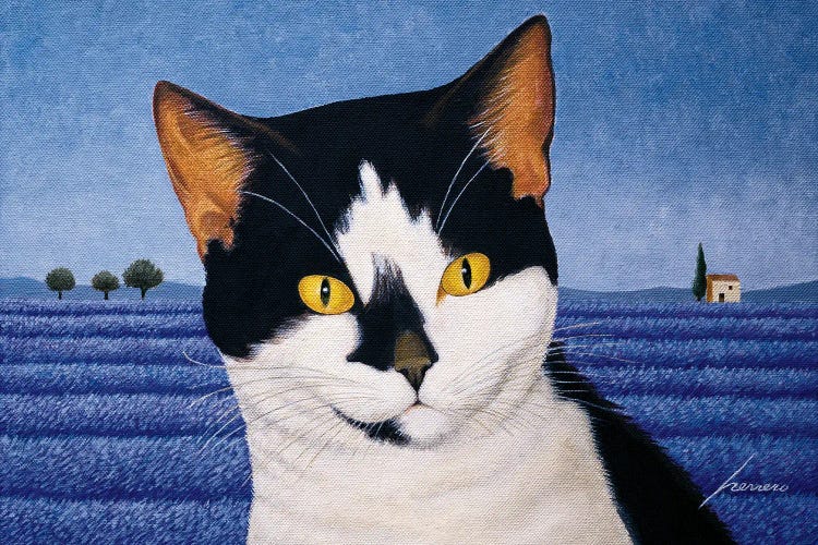 Orca Anawalt by Lowell Herrero wall art