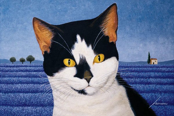 Tuxedo Cats: Orca Anawalt by Lowell Herrero