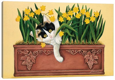 Pinot Howell Shafer Canvas Art Print - Daffodil Art
