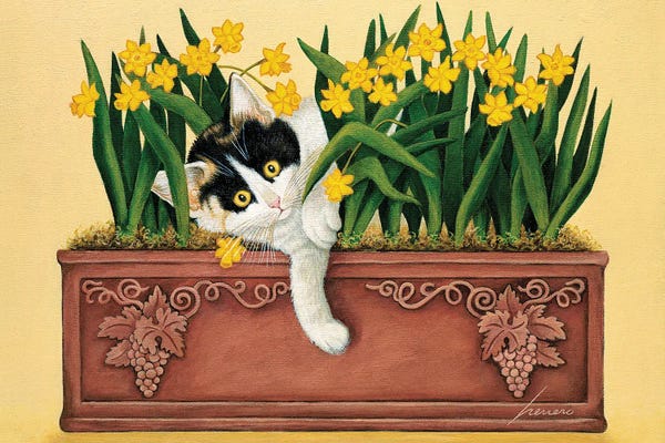 Daffodils: Pinot Howell Shafer by Lowell Herrero