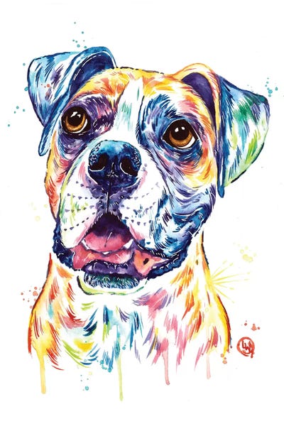 Boxer by Lisa Whitehouse acrylic art print