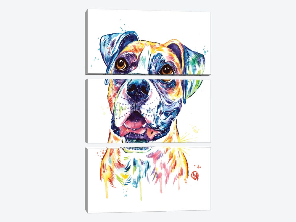 Boxer by Lisa Whitehouse 3-piece Canvas Artwork