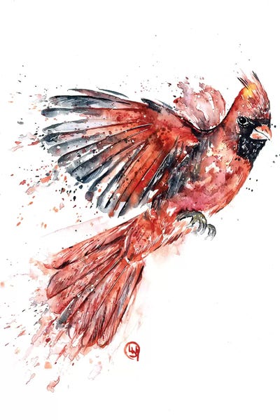 Cardinals: Cardinal by Lisa Whitehouse