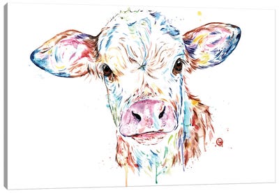 Manitoba Cow Canvas Art Print - Cow Art