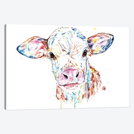 Manitoba Cow Canvas Print #LWH106} by Lisa Whitehouse Art Print
