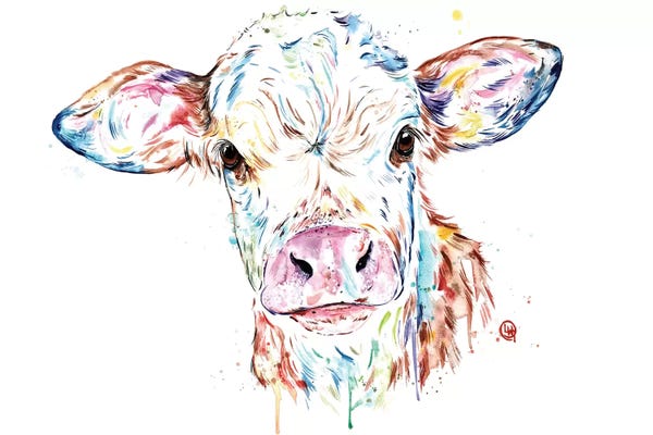 Manitoba Cow