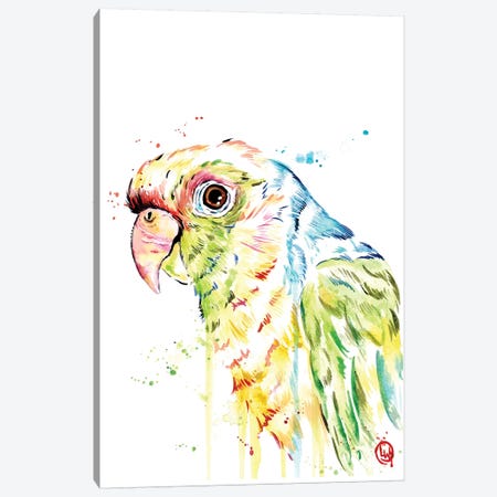 Parrot Canvas Print #LWH107} by Lisa Whitehouse Canvas Print