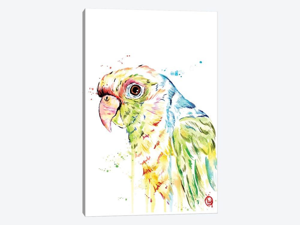 Parrot by Lisa Whitehouse 1-piece Canvas Print