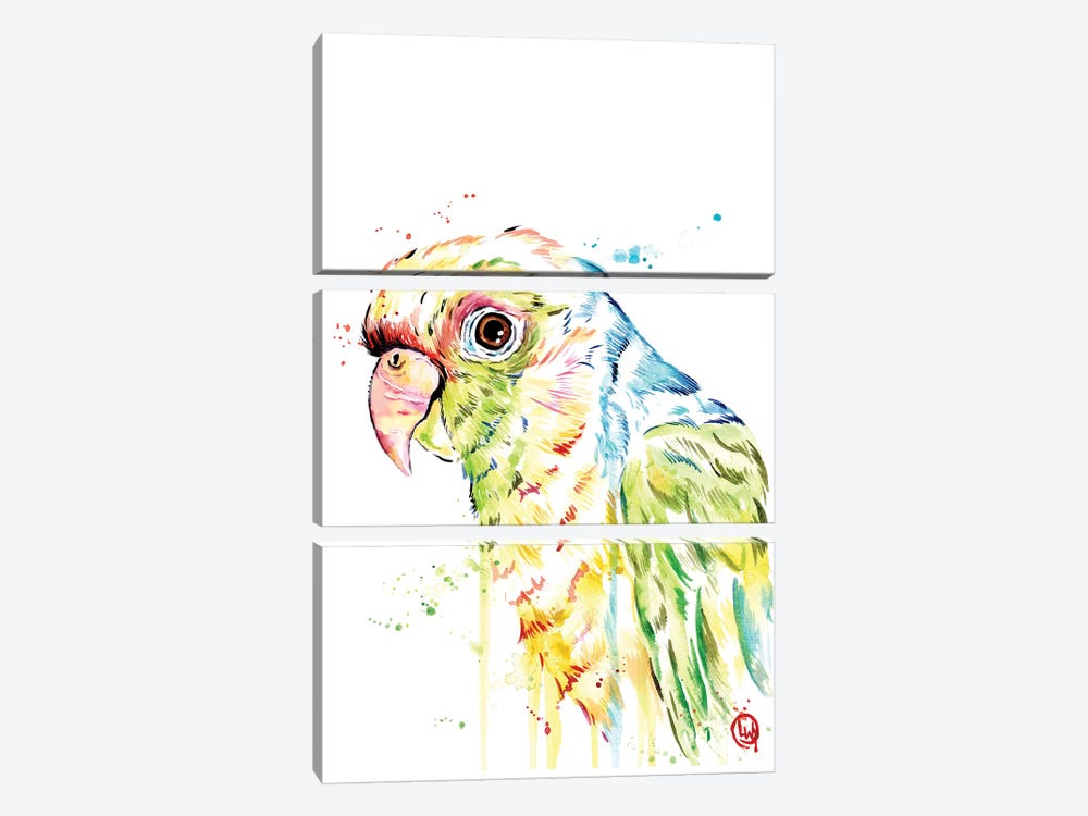 Parrot by Lisa Whitehouse 3-piece Art Print