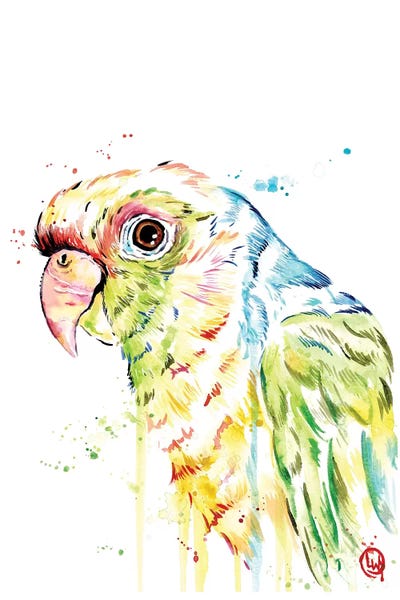 Parrots: Parrot by Lisa Whitehouse