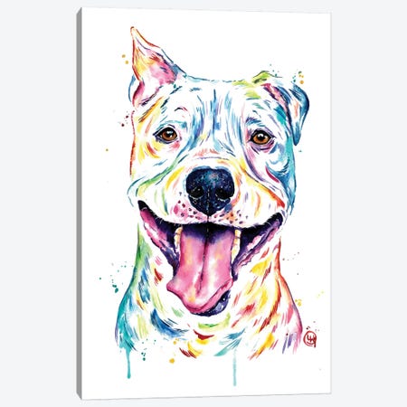 Pitbull - Full of Smiles Canvas Print #LWH108} by Lisa Whitehouse Canvas Artwork