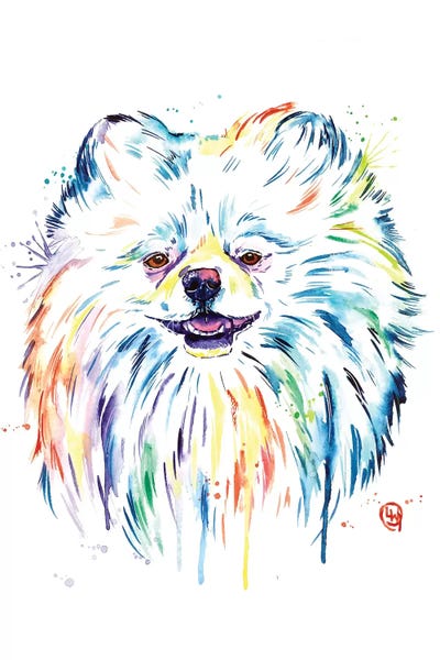 Pomeranian - Leo by Lisa Whitehouse canvas print