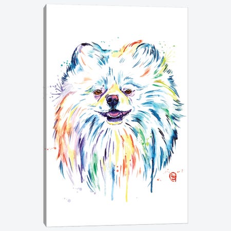 Pomeranian - Leo Canvas Print #LWH109} by Lisa Whitehouse Canvas Artwork
