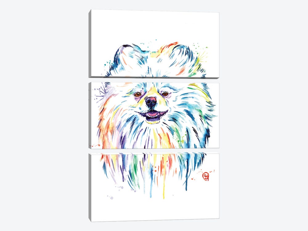 Pomeranian - Leo by Lisa Whitehouse 3-piece Art Print