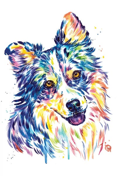 Australian Shepherds: Australian Shepherd by Lisa Whitehouse