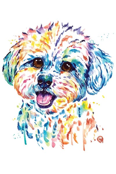 Bichon Frises: Bichon by Lisa Whitehouse