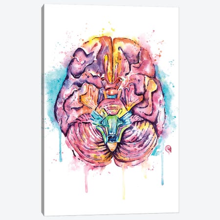 Brain Canvas Print #LWH119} by Lisa Whitehouse Canvas Print
