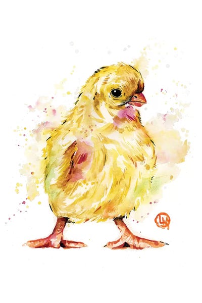 Chickens & Roosters: Chick by Lisa Whitehouse