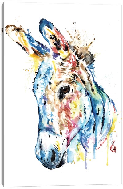 Donkey Canvas Art Print - Lisa Whitehouse