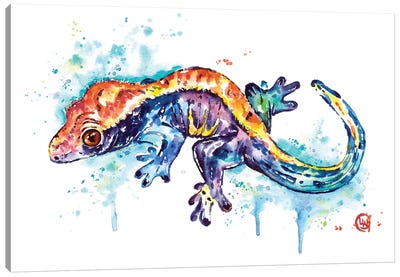 Gecko Canvas Art Print - Lisa Whitehouse