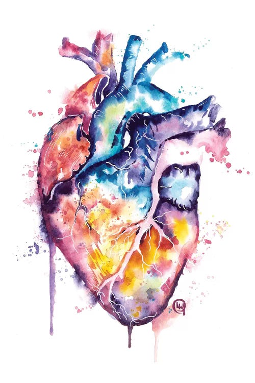 human heart drawing art
