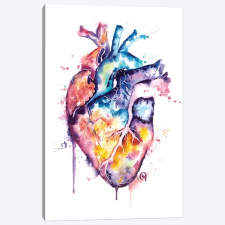 Human Heart Canvas Print #LWH128} by Lisa Whitehouse Canvas Wall Art