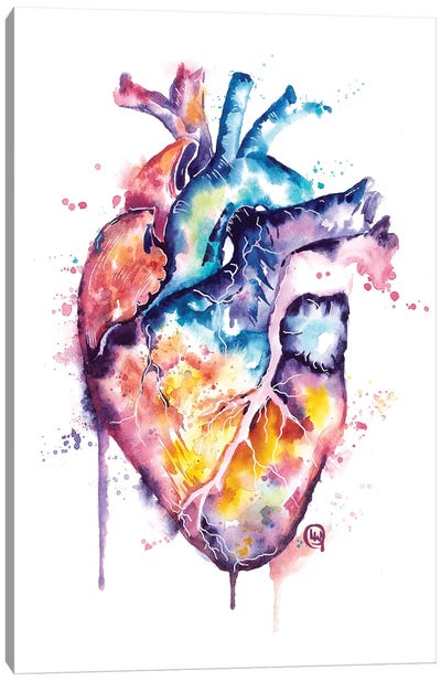 Human Heart Canvas Art Print - Anatomy Art