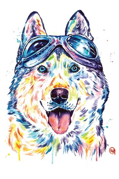 Husky Aviators by Lisa Whitehouse framed wall art