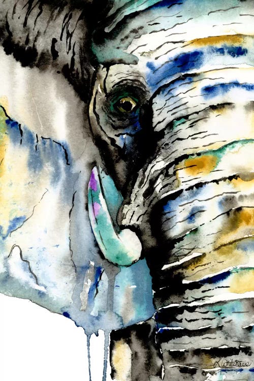 Elephant by Lisa Whitehouse wall art