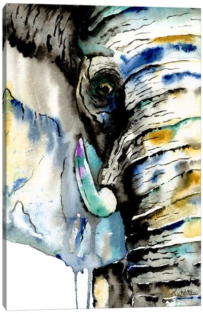 Elephant Canvas Art Print - Lisa Whitehouse