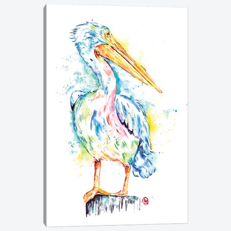 Pelican Canvas Print #LWH130} by Lisa Whitehouse Canvas Print