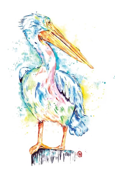 Pelican