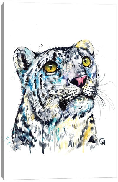Snow Leopard Canvas Art Print - Lisa Whitehouse