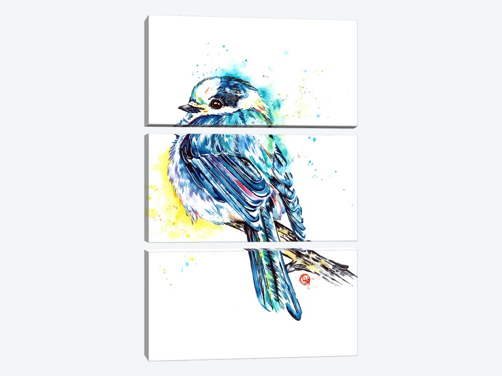 Canada Jay by Lisa Whitehouse 3-piece Canvas Art Print