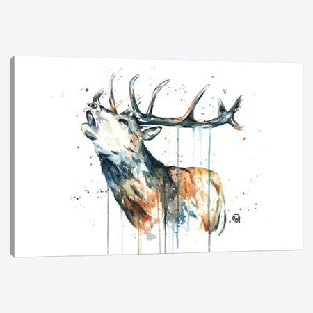 Elk Calling Canvas Print #LWH13} by Lisa Whitehouse Canvas Print