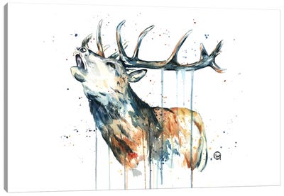 Elk Calling Canvas Art Print - Deer Art