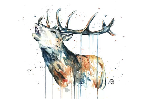 Deer: Elk Calling by Lisa Whitehouse