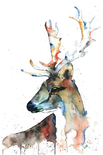 Fallow Deer by Lisa Whitehouse canvas print