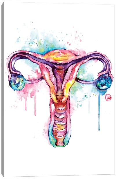 Uterus Canvas Art Print - Anatomy Art