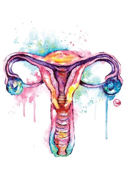 Biology: Uterus by Lisa Whitehouse