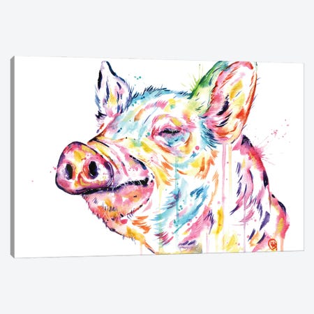 Pig - Free To Be Canvas Print #LWH146} by Lisa Whitehouse Canvas Art Print
