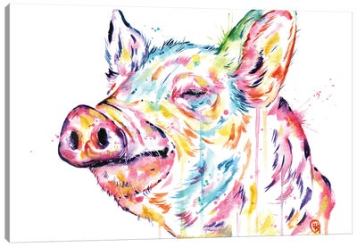 Pig - Free To Be Canvas Art Print - Lisa Whitehouse