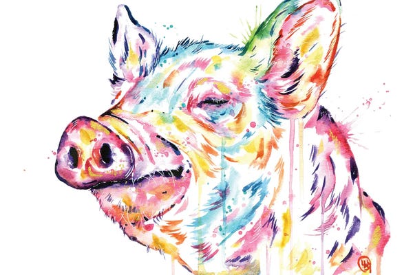 Pigs: Pig - Free To Be by Lisa Whitehouse